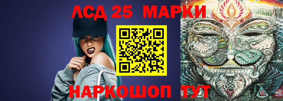 Лсд 25 экстази кислота  Вход с VPN  Новозыбков  MEGA ONION  LSD-25 экстази кислота 