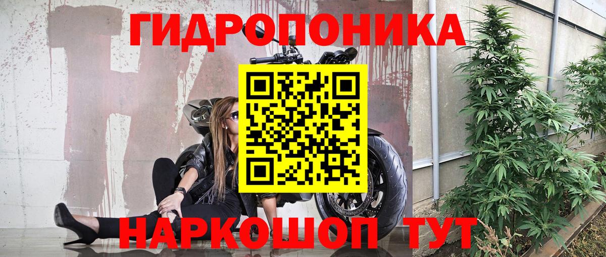 Метадон Новозыбков